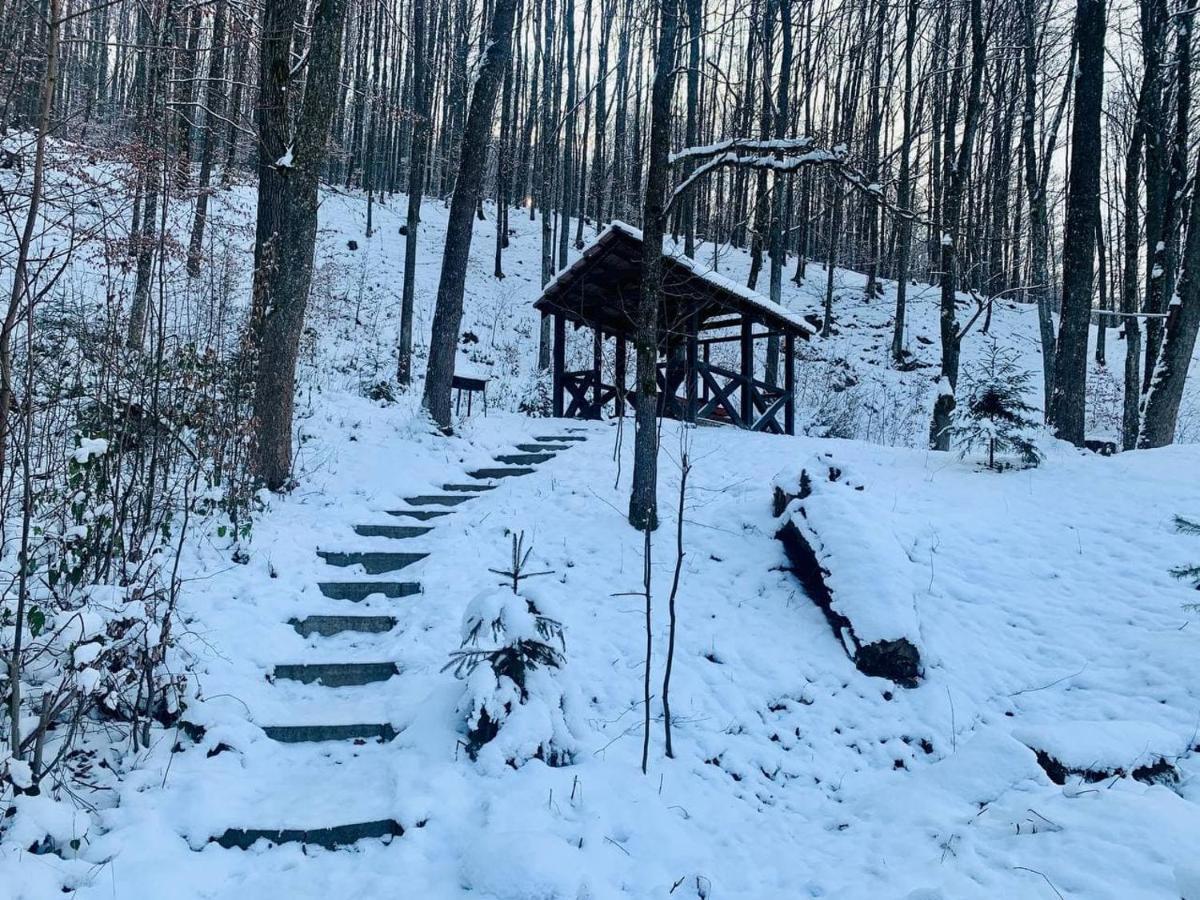 Chalet Vedmezhe بوليانا المظهر الخارجي الصورة
