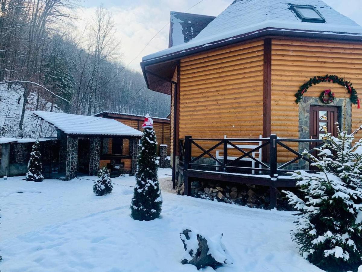 Chalet Vedmezhe بوليانا المظهر الخارجي الصورة