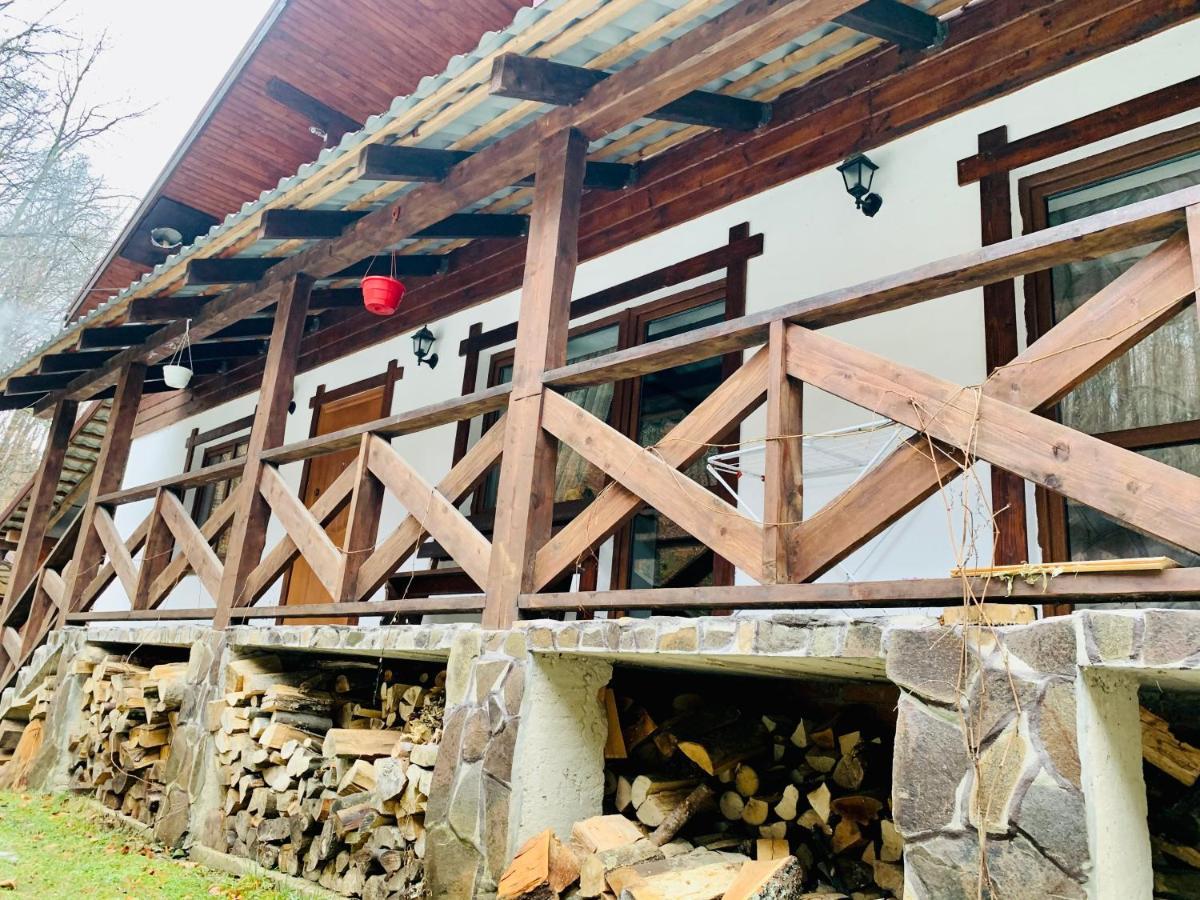Chalet Vedmezhe بوليانا المظهر الخارجي الصورة